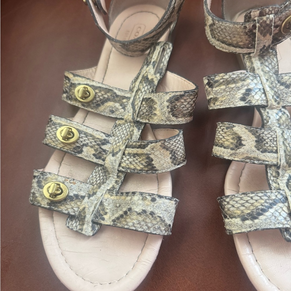 Coach Python Gladiator Sandals With Gold Accents - image 2